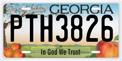 GA license plate PTH3826