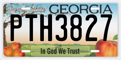 GA license plate PTH3827