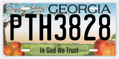 GA license plate PTH3828