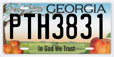 GA license plate PTH3831