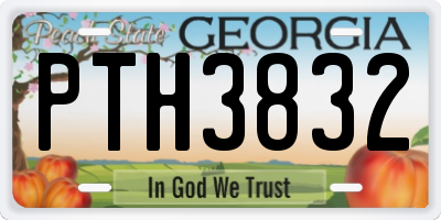 GA license plate PTH3832