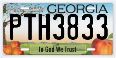 GA license plate PTH3833