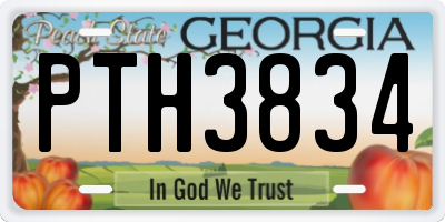 GA license plate PTH3834