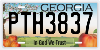 GA license plate PTH3837