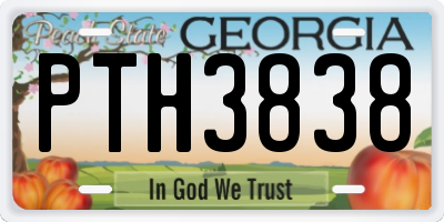 GA license plate PTH3838