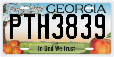 GA license plate PTH3839