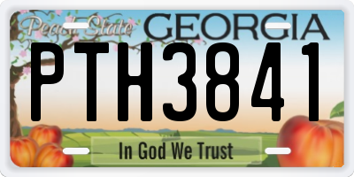GA license plate PTH3841