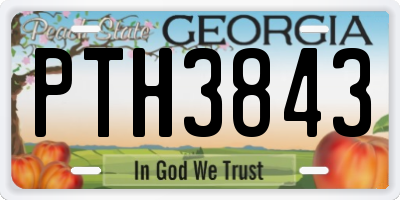 GA license plate PTH3843