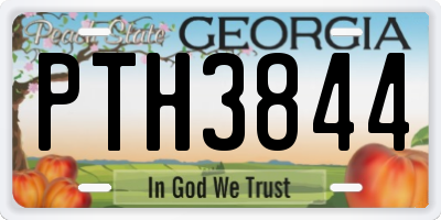 GA license plate PTH3844
