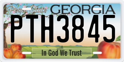 GA license plate PTH3845