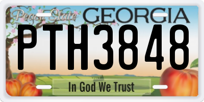 GA license plate PTH3848