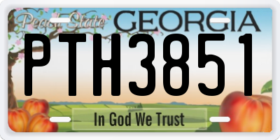 GA license plate PTH3851
