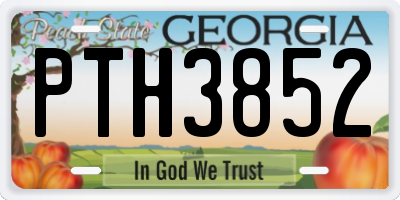 GA license plate PTH3852