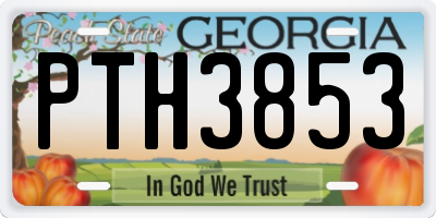 GA license plate PTH3853