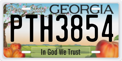 GA license plate PTH3854