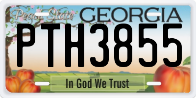 GA license plate PTH3855
