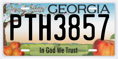 GA license plate PTH3857