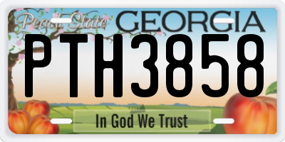 GA license plate PTH3858