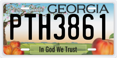 GA license plate PTH3861