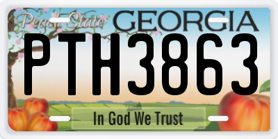 GA license plate PTH3863