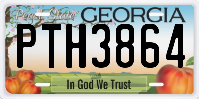 GA license plate PTH3864