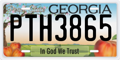 GA license plate PTH3865