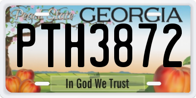 GA license plate PTH3872