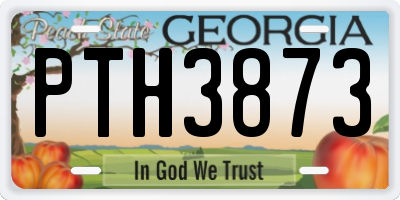 GA license plate PTH3873
