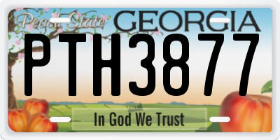 GA license plate PTH3877