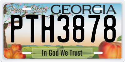 GA license plate PTH3878