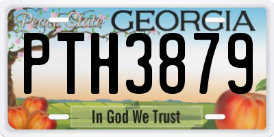 GA license plate PTH3879