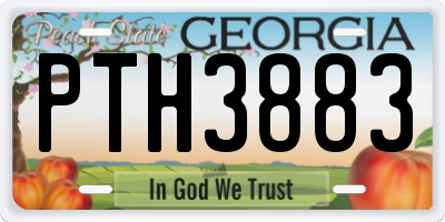 GA license plate PTH3883