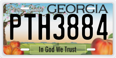 GA license plate PTH3884