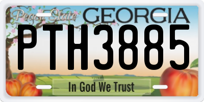 GA license plate PTH3885