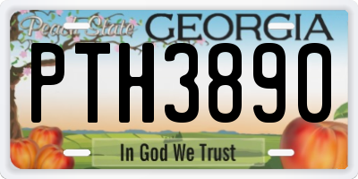 GA license plate PTH3890