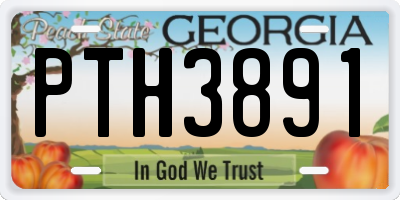 GA license plate PTH3891