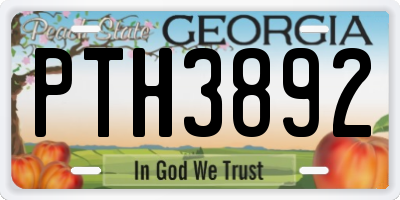 GA license plate PTH3892
