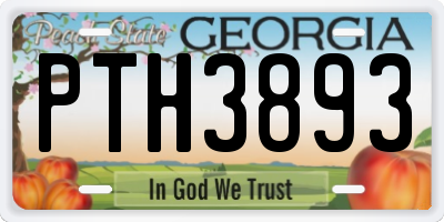 GA license plate PTH3893