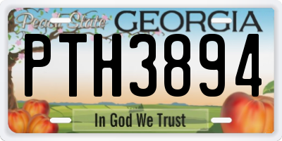GA license plate PTH3894