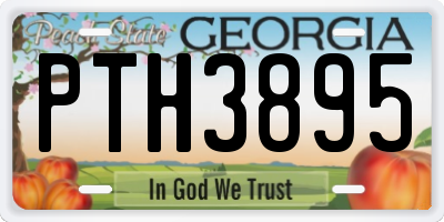 GA license plate PTH3895