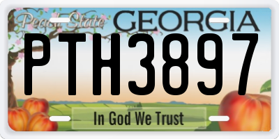 GA license plate PTH3897