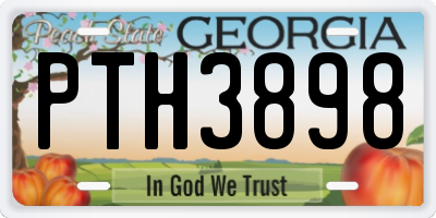 GA license plate PTH3898