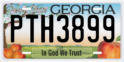 GA license plate PTH3899
