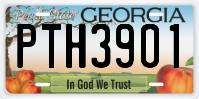 GA license plate PTH3901