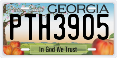 GA license plate PTH3905