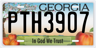 GA license plate PTH3907