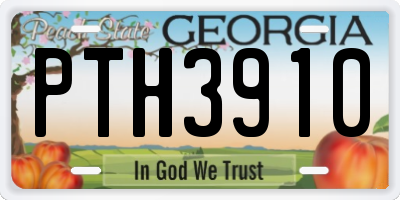 GA license plate PTH3910