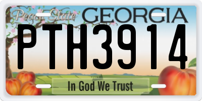 GA license plate PTH3914