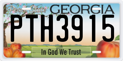 GA license plate PTH3915