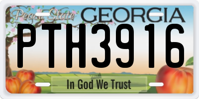 GA license plate PTH3916